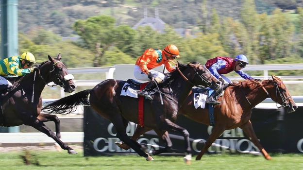 «Super Trip» - 6ème Course «Prix Royal Gait»