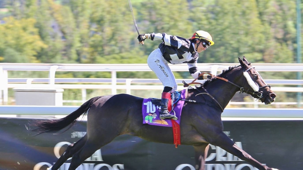 «Perillán» - 4ème Course «Prix HZ - II Championnat International des Jockets»