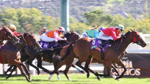 «Pretty Emerald» - 2ème Course «CSD Award - II International Jocket Championship»