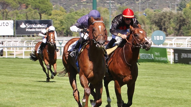 «Roi de la Jungle» - 7ème Course «Prix Lorenzo Sanz»