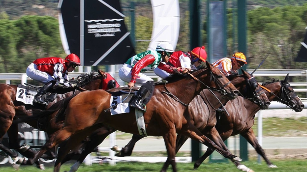 «Werseiller» - 8ème Course «Prix de la Famille Gelabert»