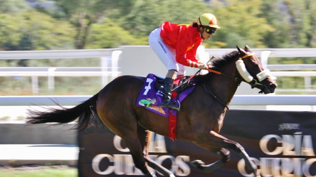 «Reine de Gloire» - 3ème Course «Prix du Sport Féminin – II Championnat International Jocket»