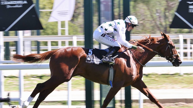 «Pampelune» - 5ème Course «Grand Prix Villamejor»