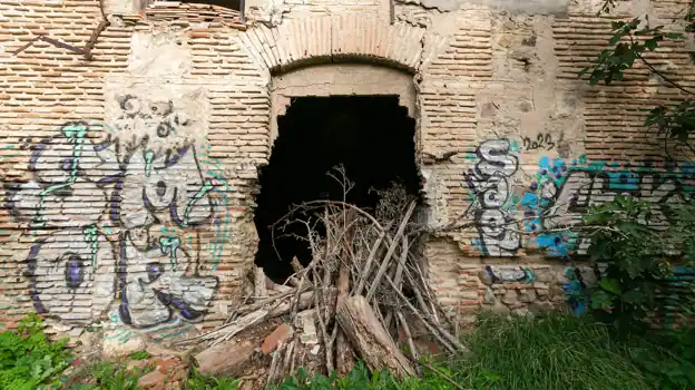 Mauvaises herbes et débris accumulés dans l’une des zones abandonnées