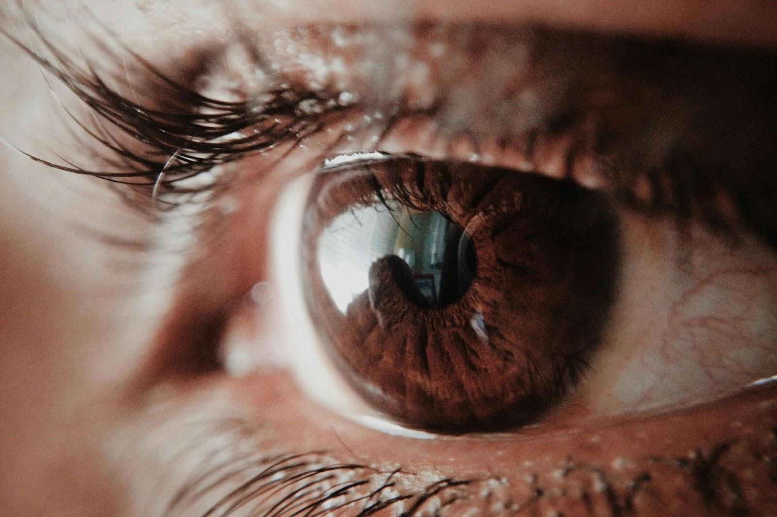 Lentilles de contact à l'école, les erreurs à ne pas commettre pour y voir clair article