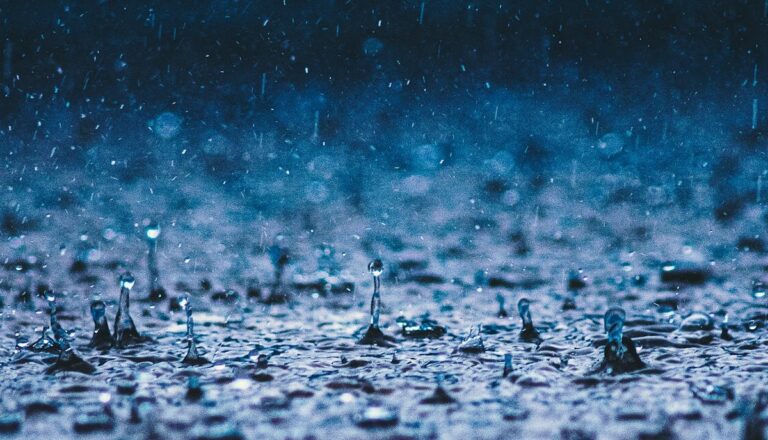 Écoles fermées pour cause d'intempéries le 21 janvier 2026 : voici où