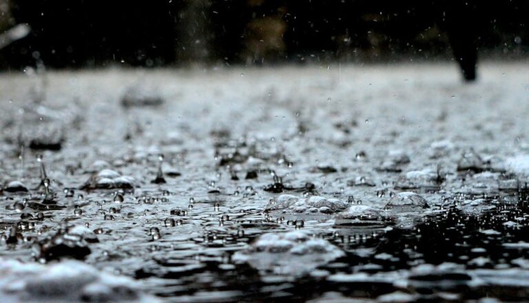 Écoles fermées demain 12 février 2026 en raison du mauvais temps : voici où