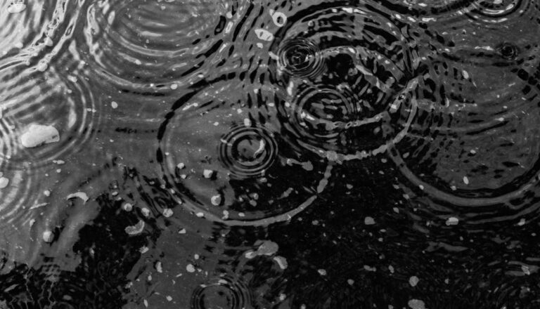 Écoles fermées pour cause d'intempéries le 17 février 2026 : voici où