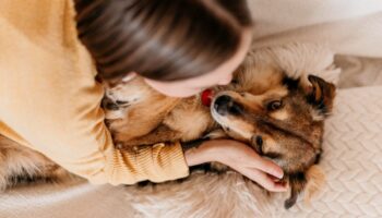 En France, la « garde d'animaux » entre à l'école comme matière