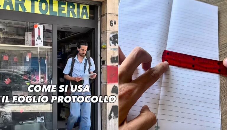Comment utiliser la fiche protocolaire ? Le professeur l'explique