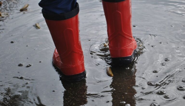 Risque d'inondation et de glissement de terrain, écoles exposées : nouveau rapport CittadinanzAttiva