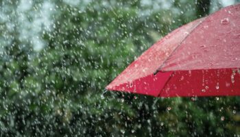 Premier jour d'école sous la pluie : comment survivre à la rentrée