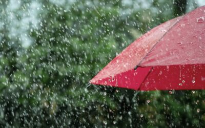 Premier jour d'école sous la pluie : comment survivre à la rentrée