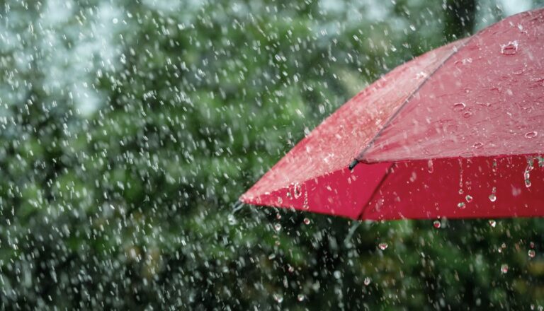 Premier jour d'école sous la pluie : comment survivre à la rentrée