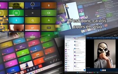 DAD veut éviter les grèves : les étudiants français boycottent les cours en visio