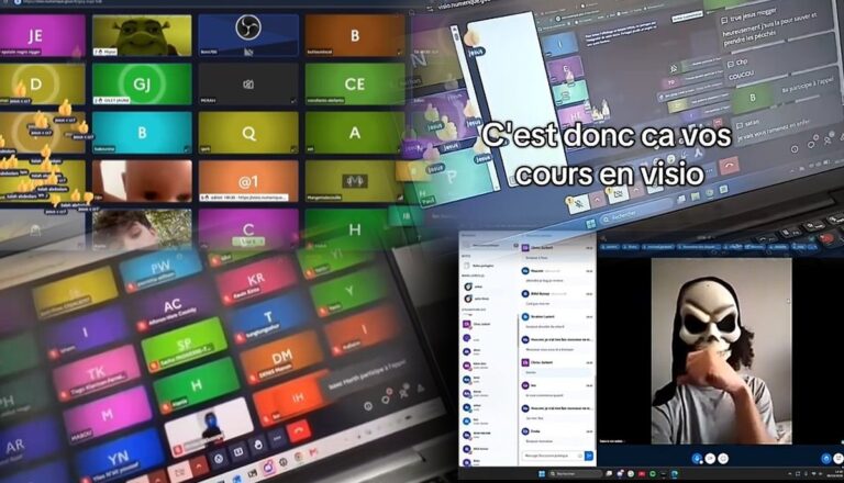 DAD veut éviter les grèves : les étudiants français boycottent les cours en visio